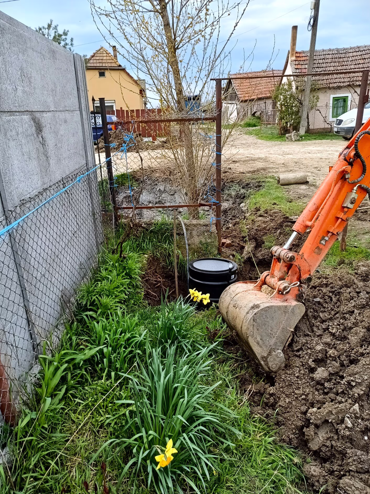 A construction site with a mini excavator digging a trench near a metal fence, with green plants and yellow flowers in the foreground.